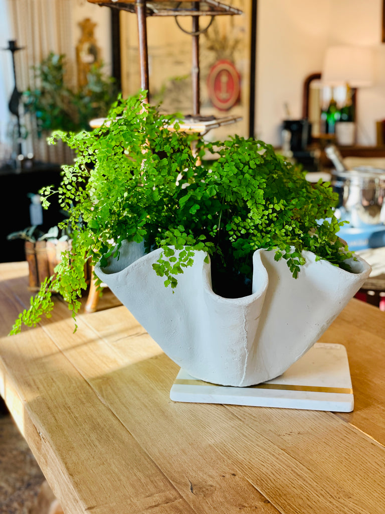 Hand-Cast Stone Paris Bowl Planter