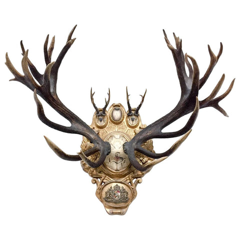19th c. European Red Stag & Roe Trophies on Plaque with Emblem of St. Sepulcre