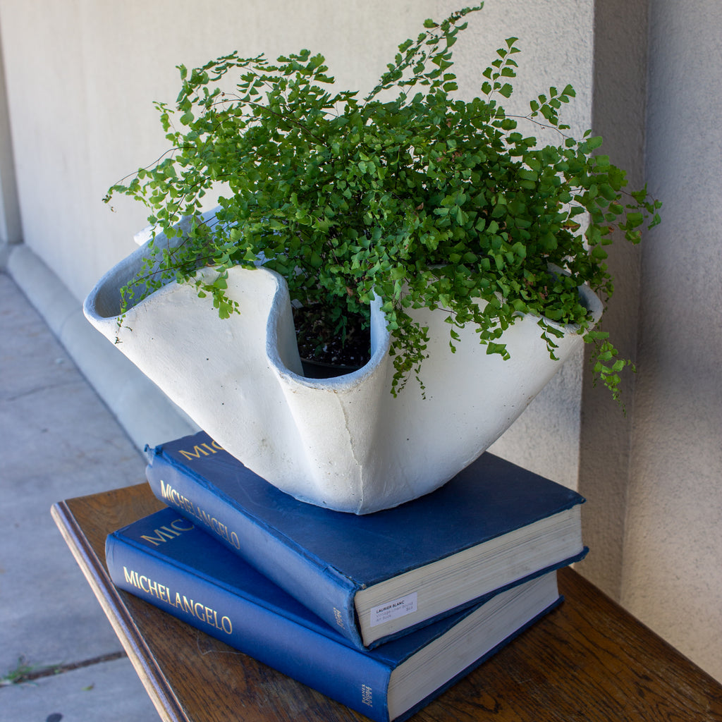 Hand-Cast Stone Paris Bowl Planter