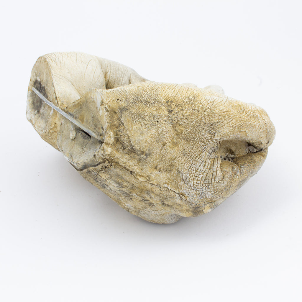 Cast Stone Hands Dish