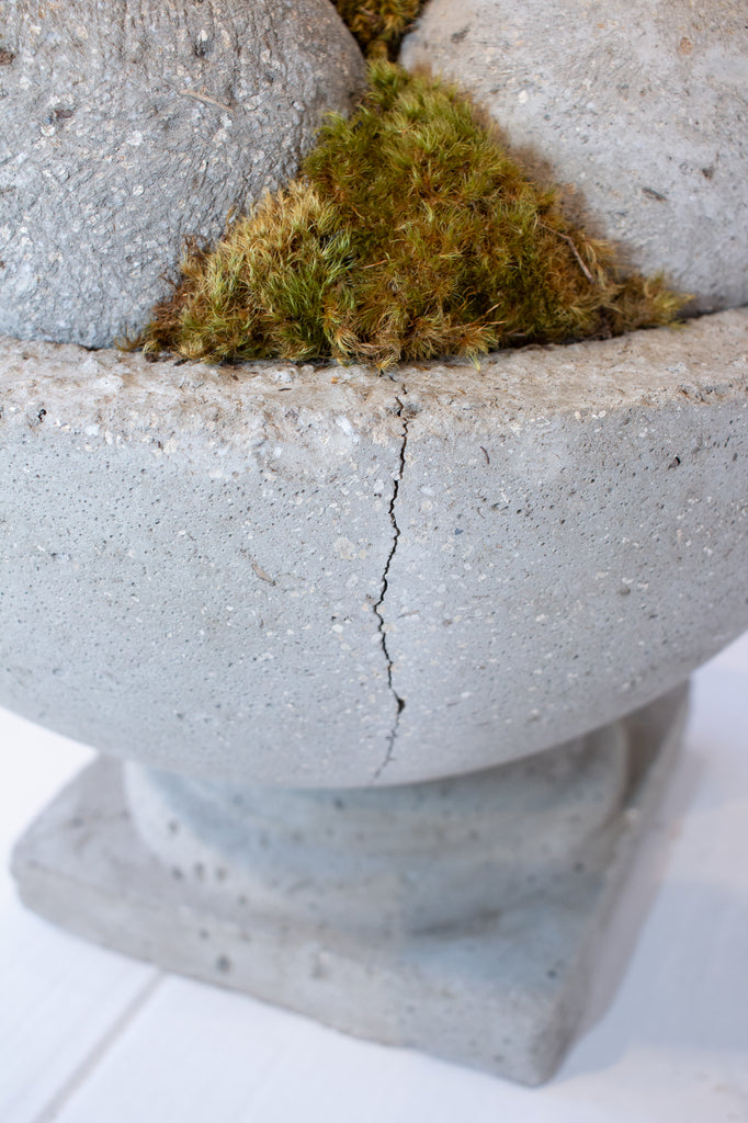 Hand Cast Hypertufa & Moss Centerpiece