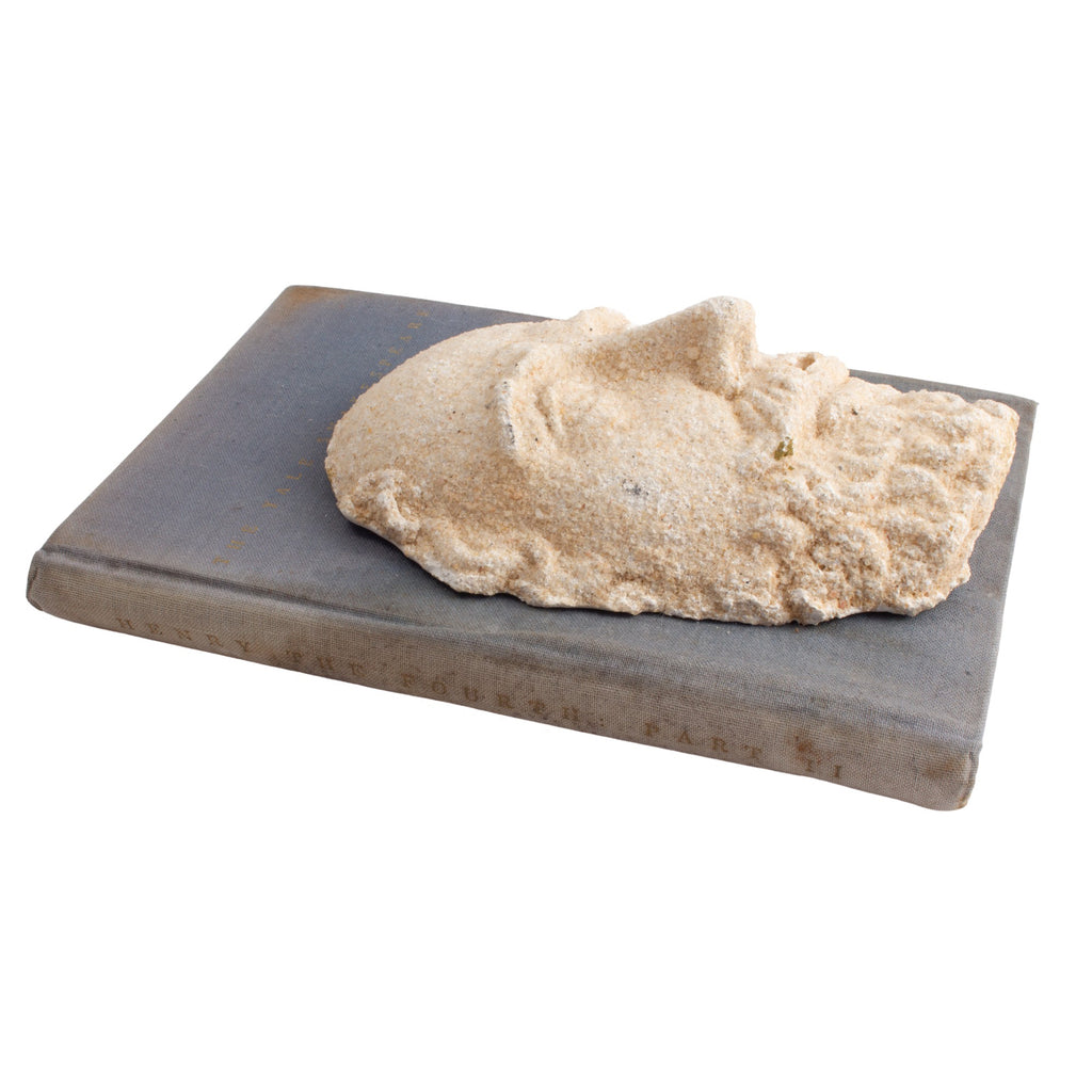 Unique Shakespeare Casting on Mid-Century Shakespeare Play Book