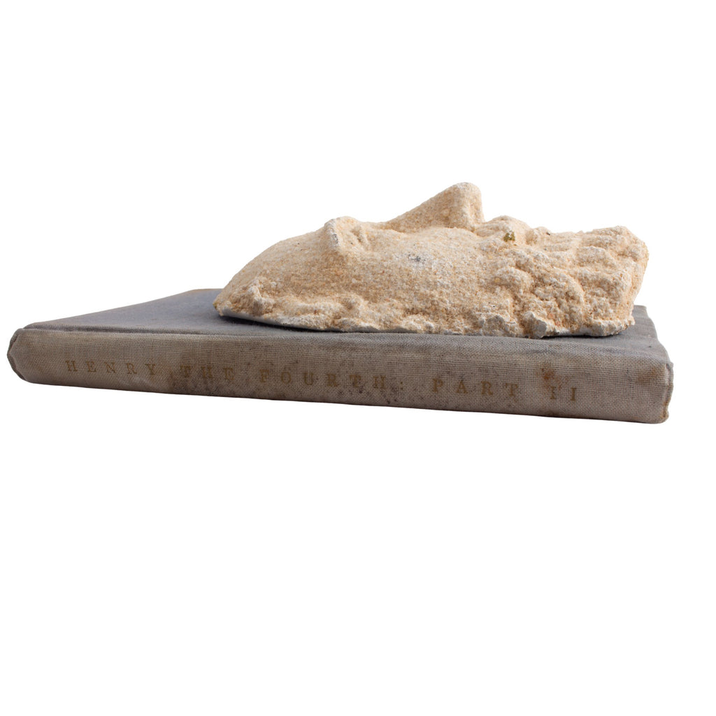 Unique Shakespeare Casting on Mid-Century Shakespeare Play Book