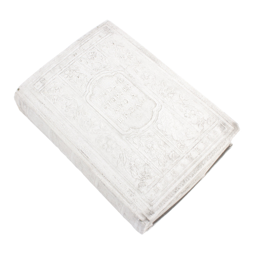 Cast Stone Book - Medium Twelve Stories & A Dream Book