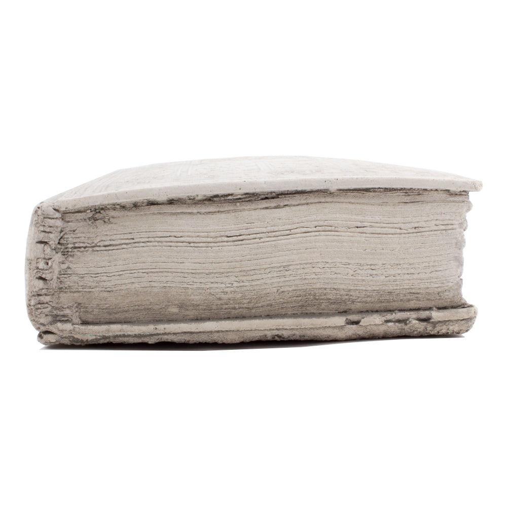 Cast Stone Book - Medium Twelve Stories & A Dream Book