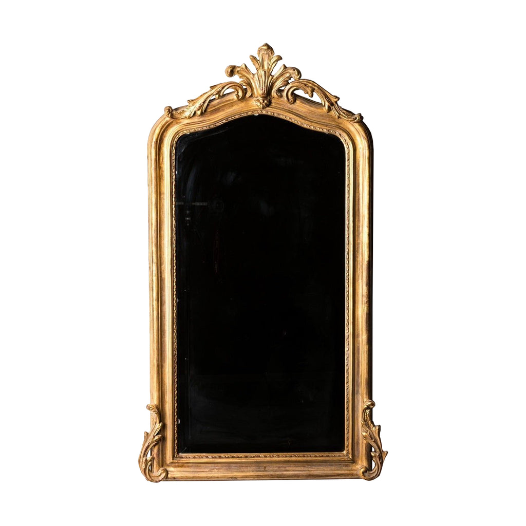 French Renard Hand-Carved Beveled Mirror in Hand Gilt Frame