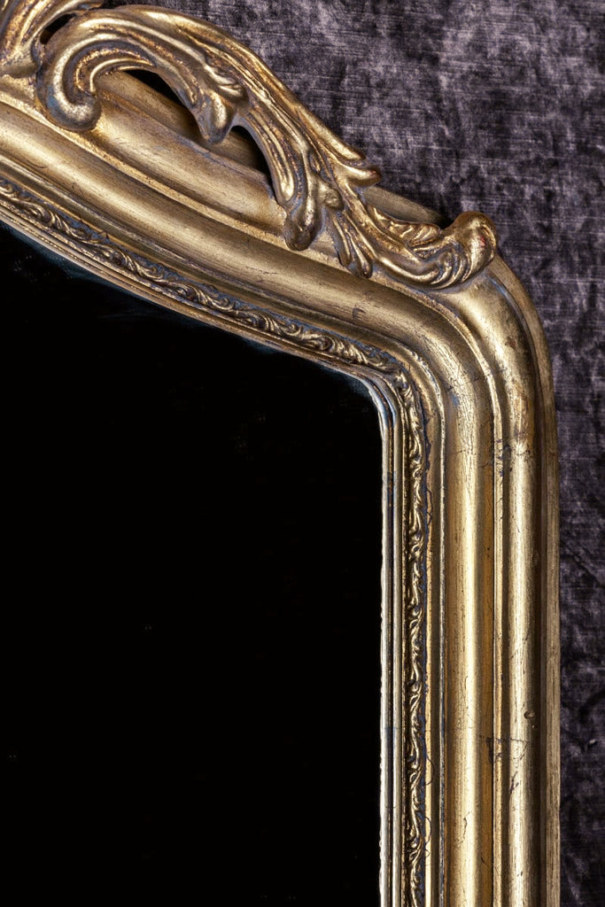 French Renard Hand-Carved Beveled Mirror in Hand Gilt Frame