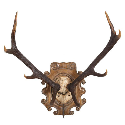 19th Century Habsburg Red Stag Trophy with Hook & Original Hunt Horn Hardware