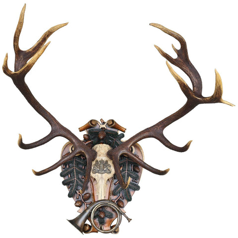 German Red Stag from Eulenburg Hunt of 1892 with Original Fürst-Pless Hunt Horn