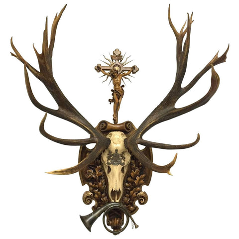 19th Century St. Hubertus Red Stag Hunting Trophy with Fürst Pless Horn