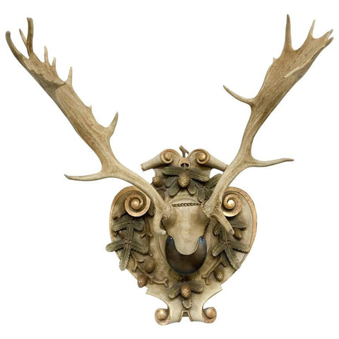 Habsburg Fallow Deer Trophy from Eckartsau Castle with French Gorget
