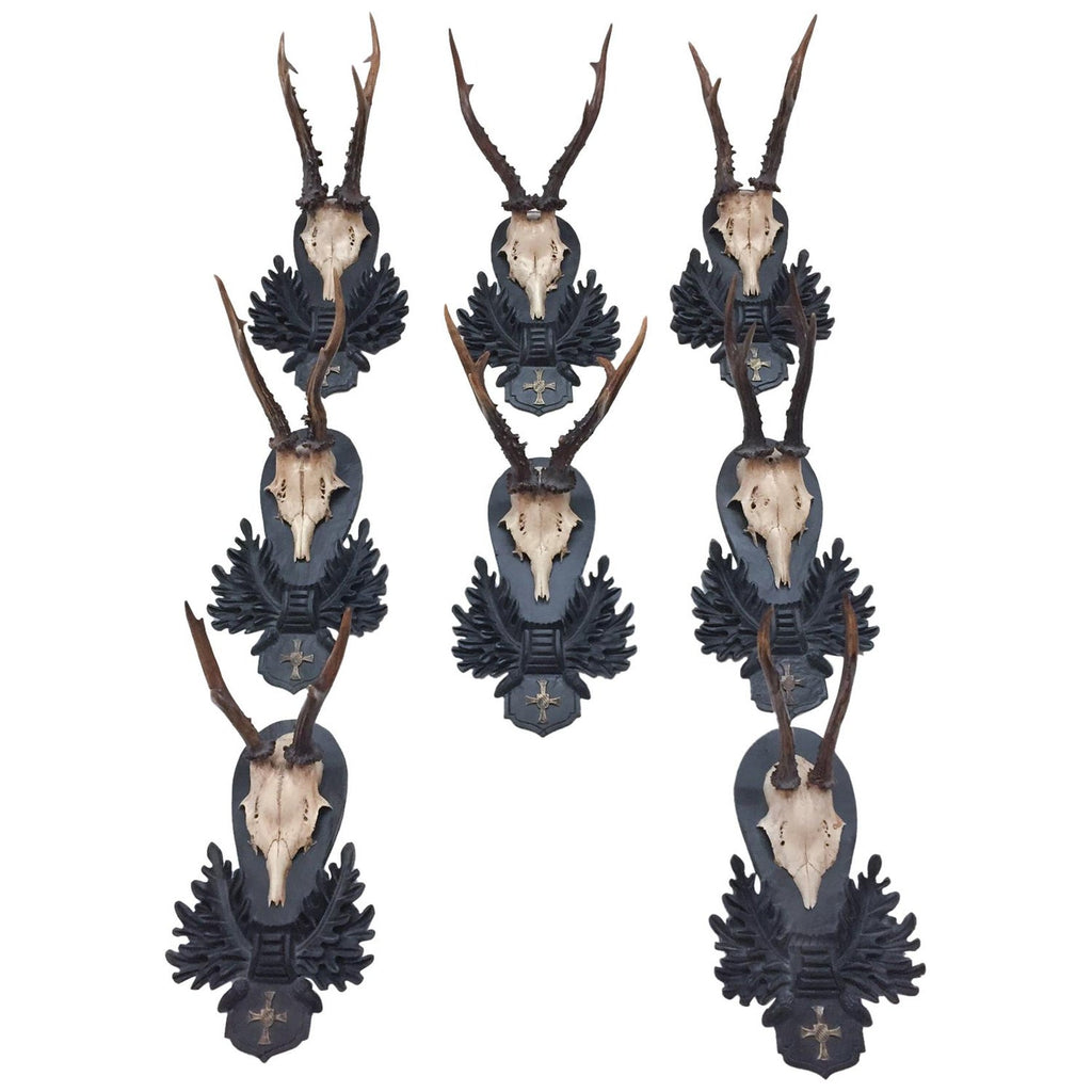 Bavarian Roe Deer Trophies on Black Forest Plaques with Bavarian Cross