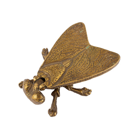 Vintage English Brass Insect Box