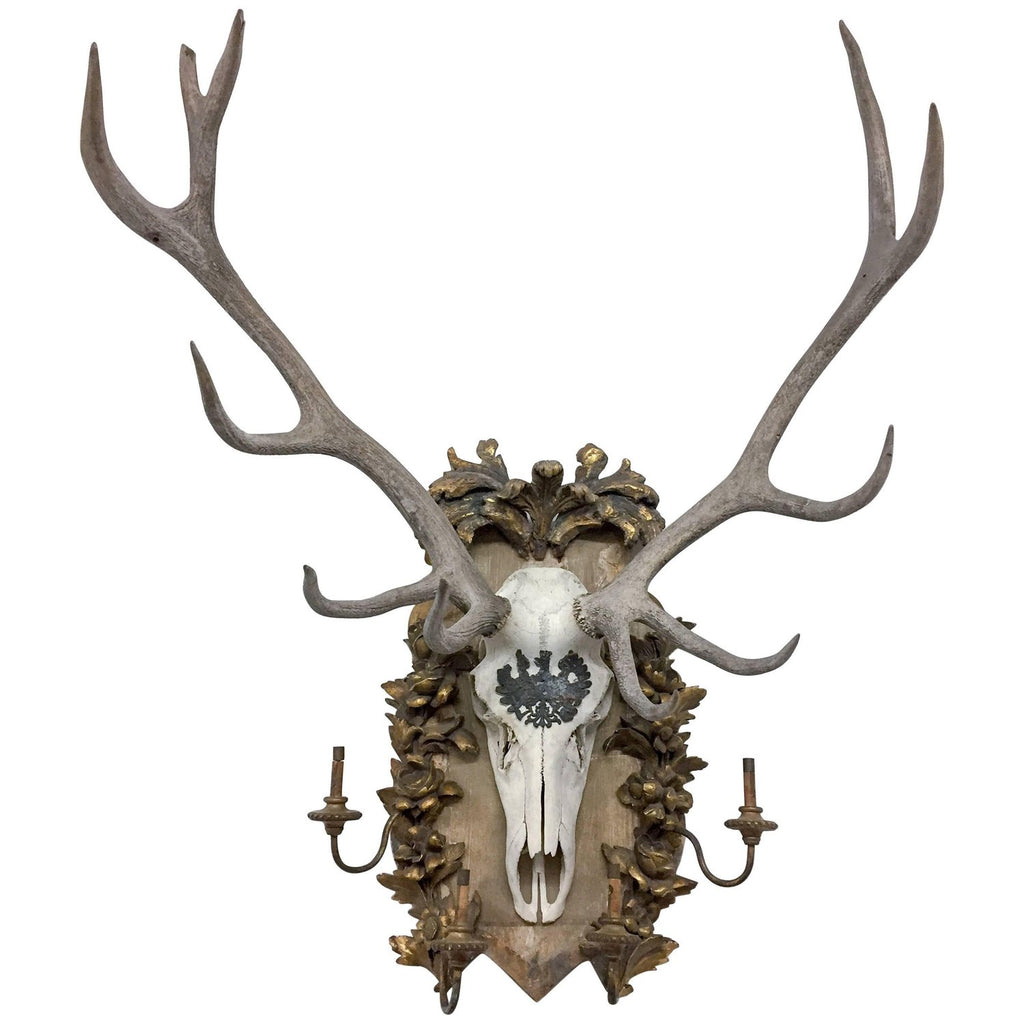 Habsburg Red Stag Trophy on Original Hand-Carved Gilt Candelabra Plaque