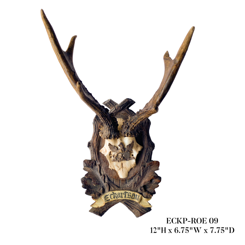 19th c Habsburg Roe Deer Trophies on Black Forest Plaques from Eckartsau Castle
