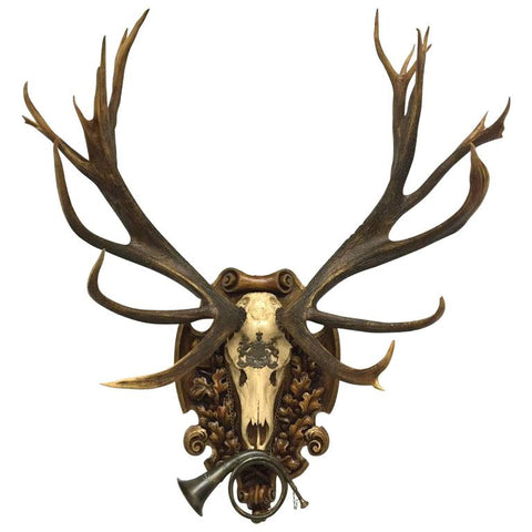 19th Century St. Hubertus Red Stag Hunting Trophy with Fürst Pless Horn