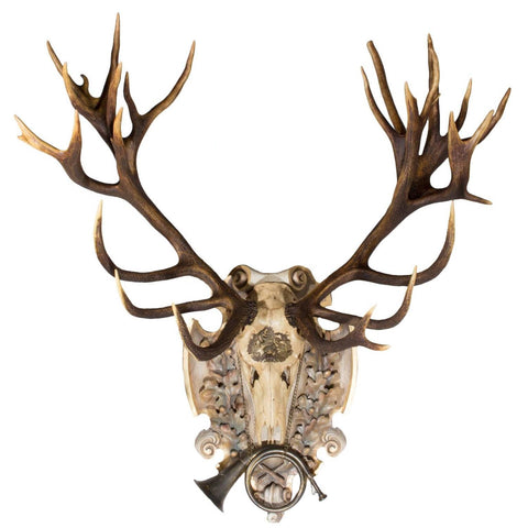 19th Century St. Hubertus Red Stag Hunting Trophy with Fürst Pless Horn