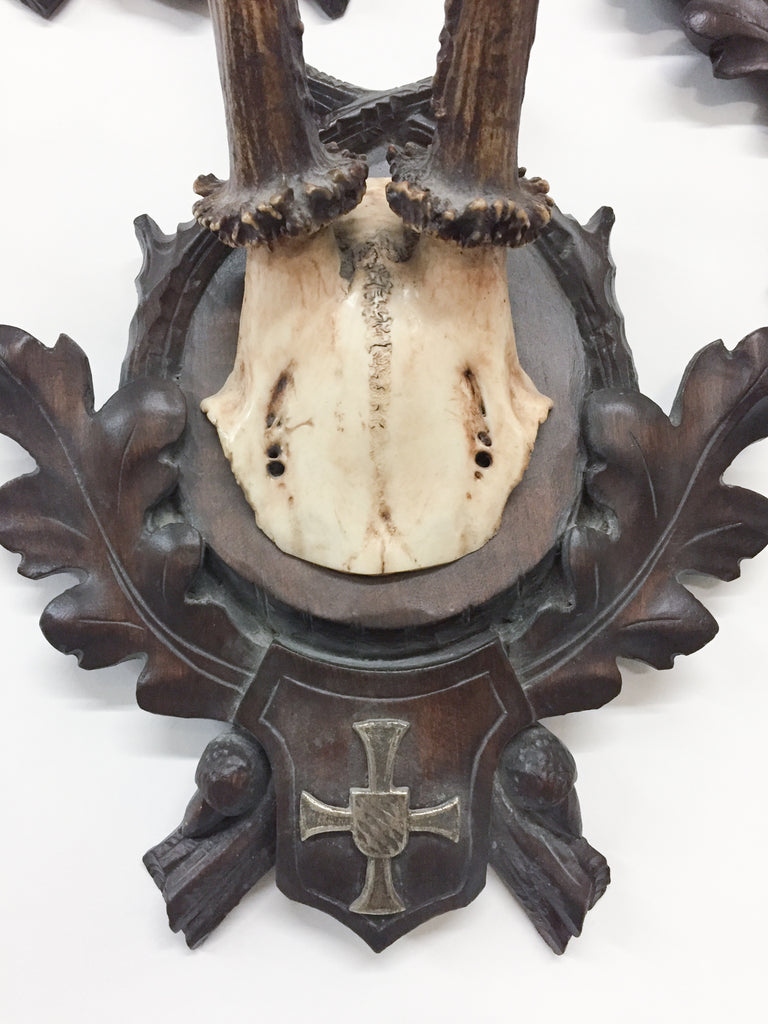 19th c Bavarian Roe Deer Trophies on Black Forest Plaques