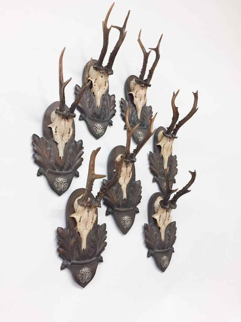 19th c Roe Deer Trophies on Black Forest Plaques from Kaiser Wilhelm I