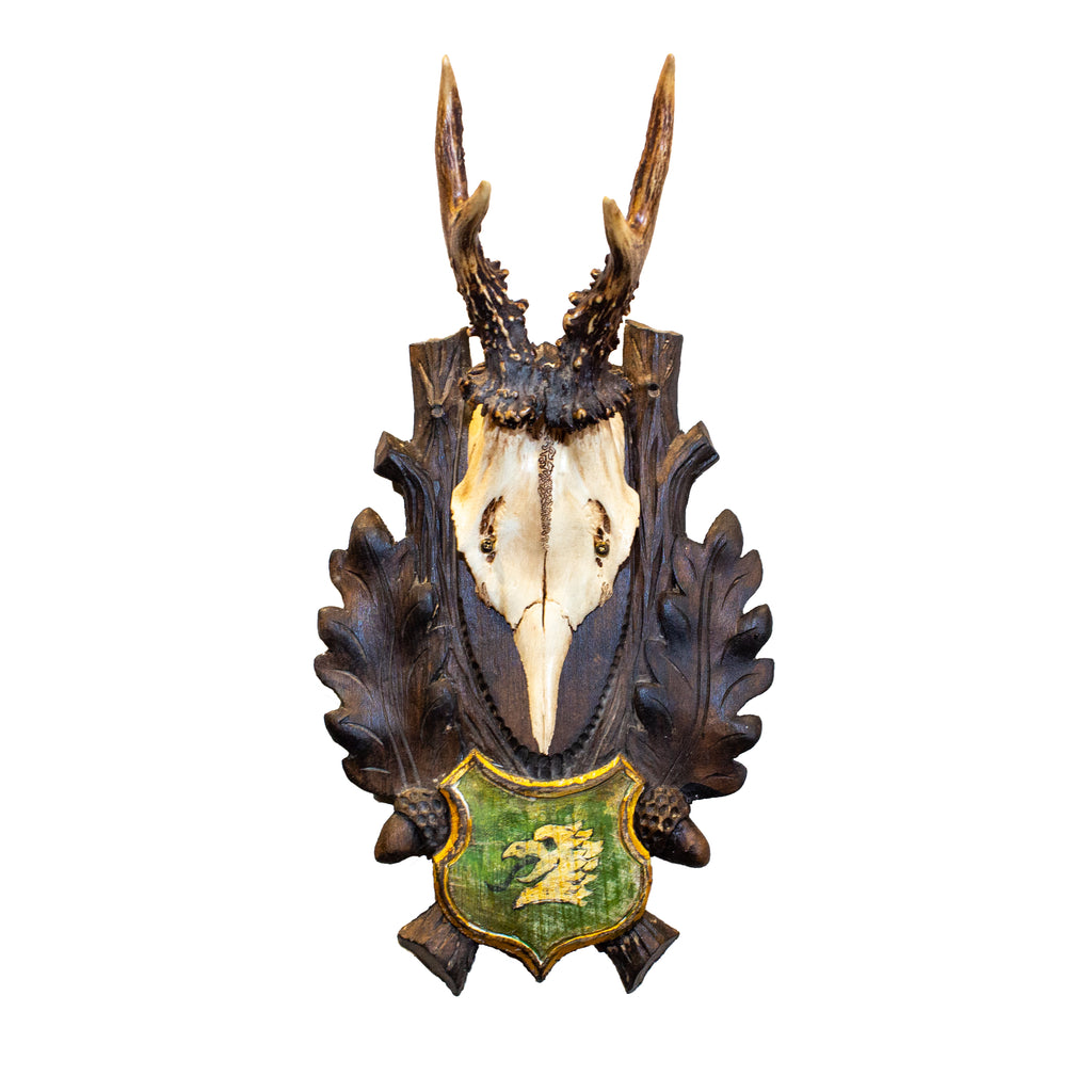 19th c Austrian Roe Deer Trophies on Original Black Forest Plaques with Heraldic Austrian Crests