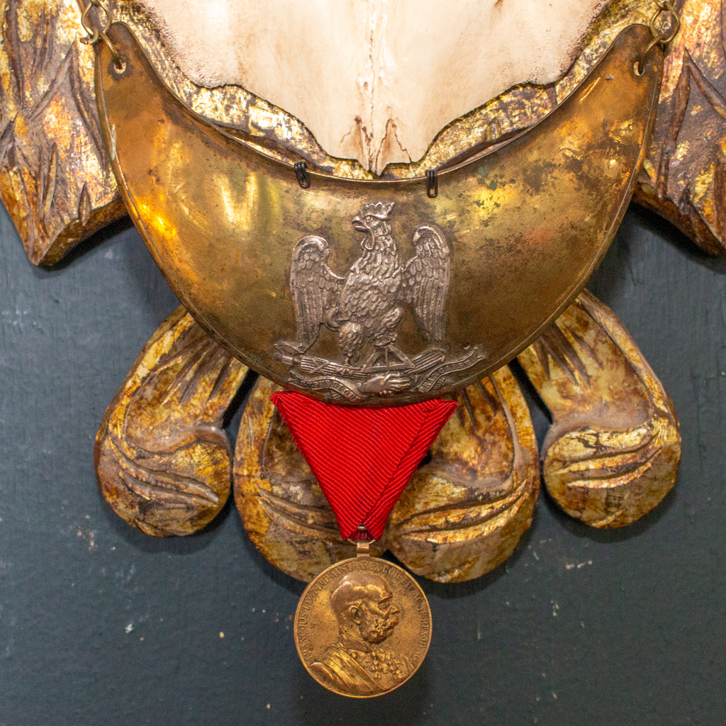 19th c Fallow Deer Trophy from Emperor Franz Josef of Austria on Gilt Plaque