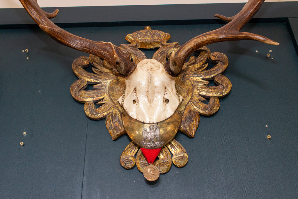 19th c Fallow Deer Trophy from Emperor Franz Josef of Austria on Gilt Plaque