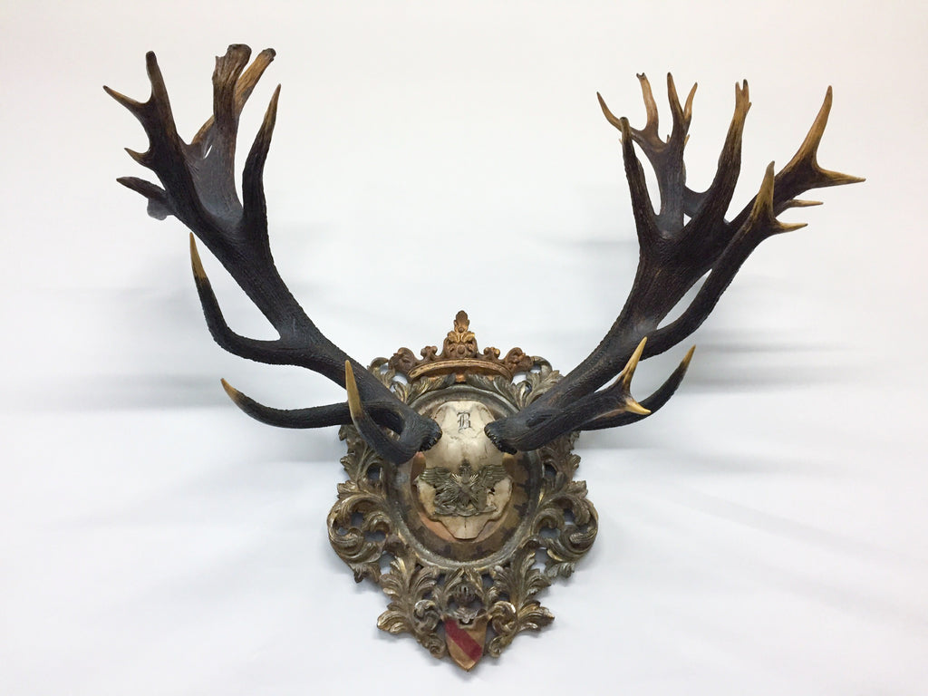 Antique Red Stag Trophy of The Grand Dukes of Baden on Ornate Gilt Plaque