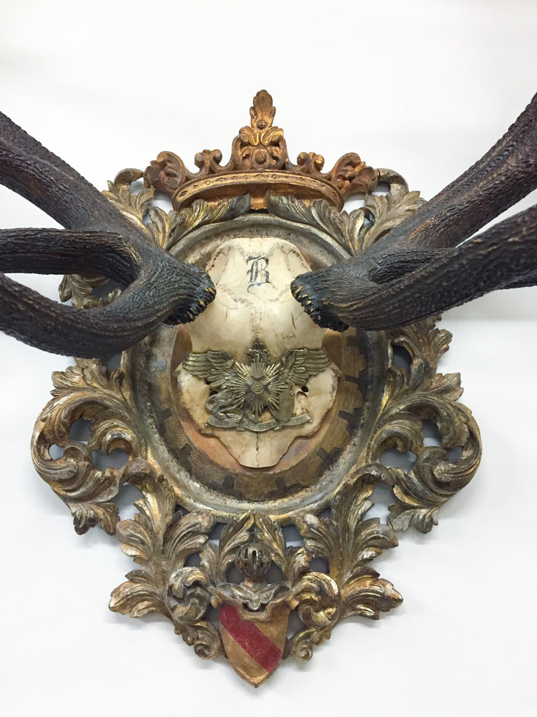 Antique Red Stag Trophy of The Grand Dukes of Baden on Ornate Gilt Plaque