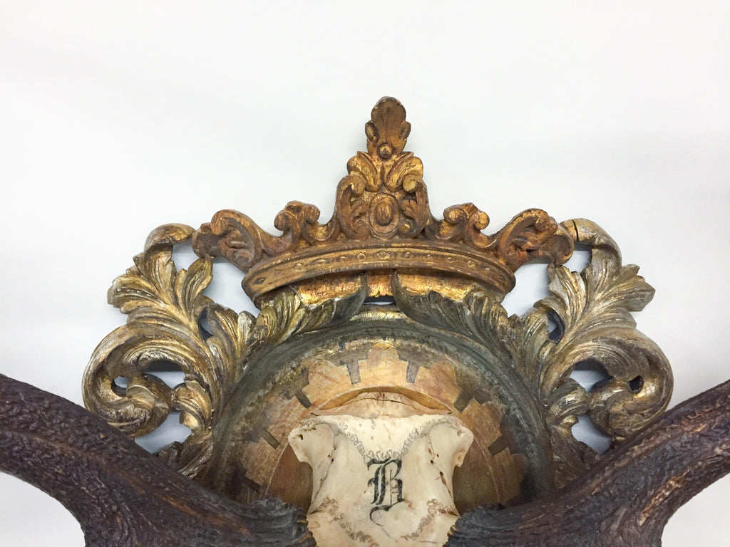 Antique Red Stag Trophy of The Grand Dukes of Baden on Ornate Gilt Plaque