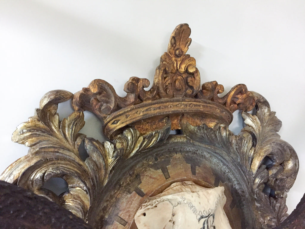 Antique Red Stag Trophy of The Grand Dukes of Baden on Ornate Gilt Plaque