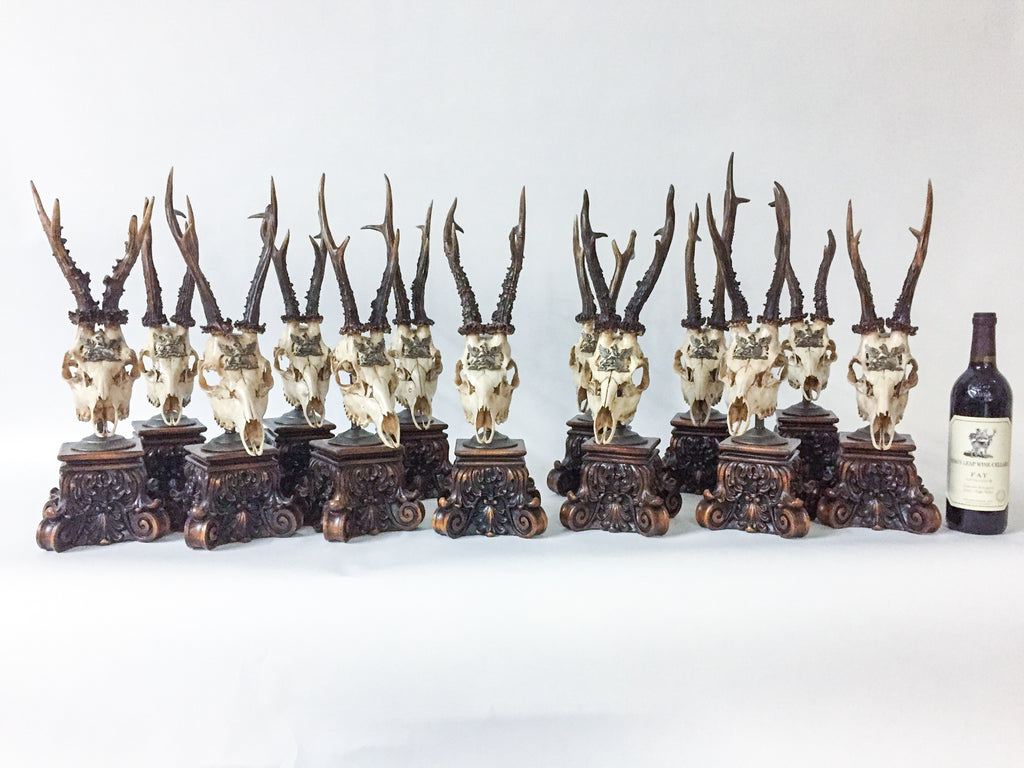 19th Century Roe Deer Trophies from the Grand Dukes of Baden on Stands