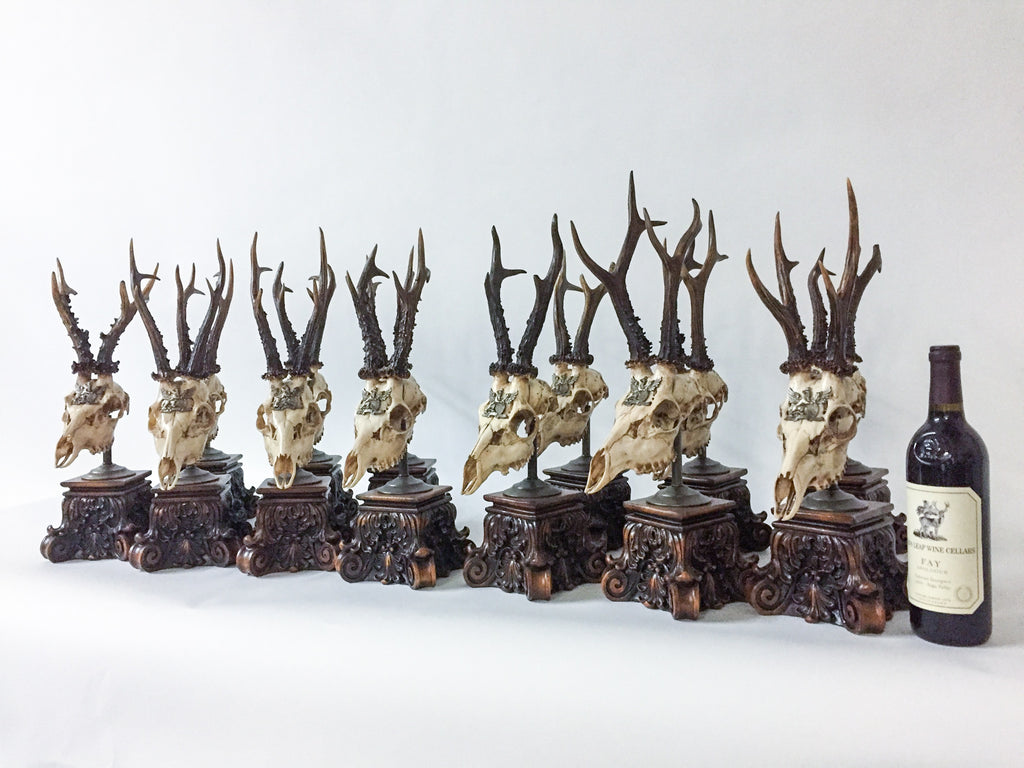 19th Century Roe Deer Trophies from the Grand Dukes of Baden on Stands