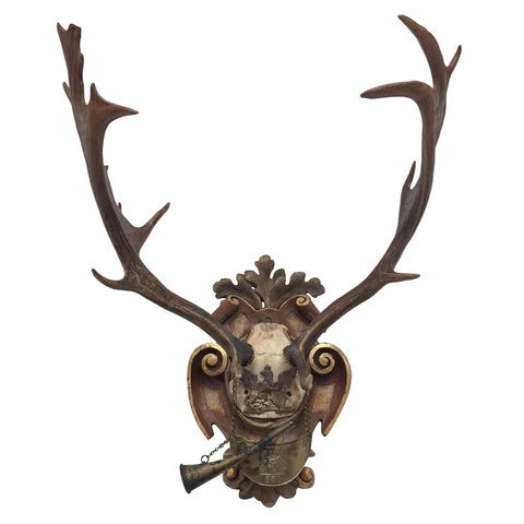 Habsburg Fallow Deer Trophy on Hand Carved Plaque from Eckartsau Castle