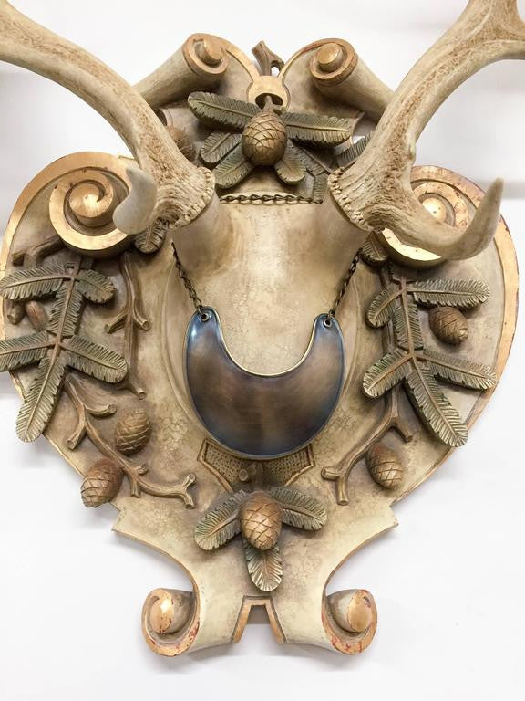 Habsburg Fallow Deer Trophy from Eckartsau Castle with French Gorget