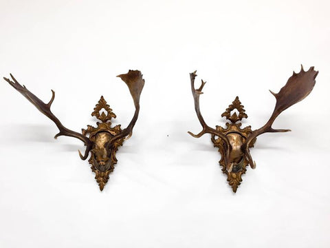 Habsburg Fallow Trophy Pair on French Gilt Plaque with Original Gorget