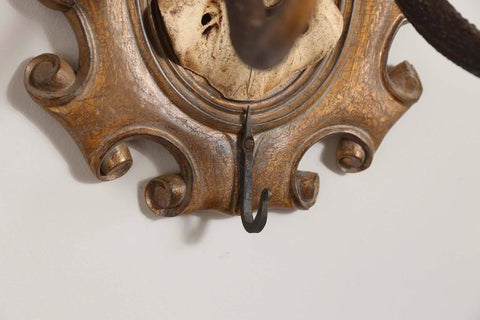 19th Century Habsburg Red Stag Trophy with Hook & Original Hunt Horn Hardware