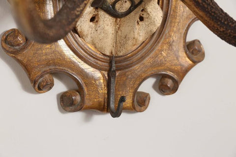 19th Century Habsburg Red Stag Trophy with Hook & Original Hunt Horn Hardware