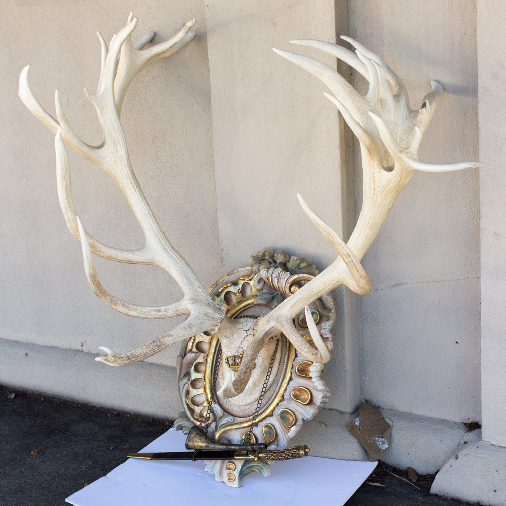 Antique Bleached Habsburg Red Stag Antlers on Rococo Plaque with Kaiser & King Hunt Horn