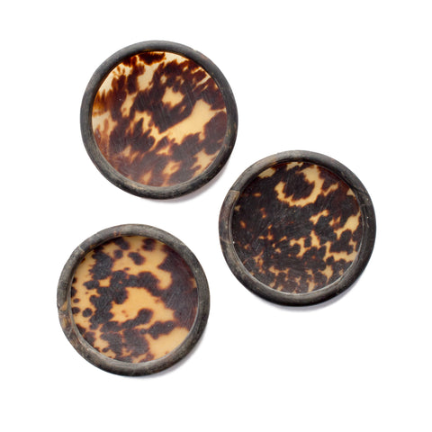 Antique Tortoise Shell Trinket Dish found in Sri Lanka