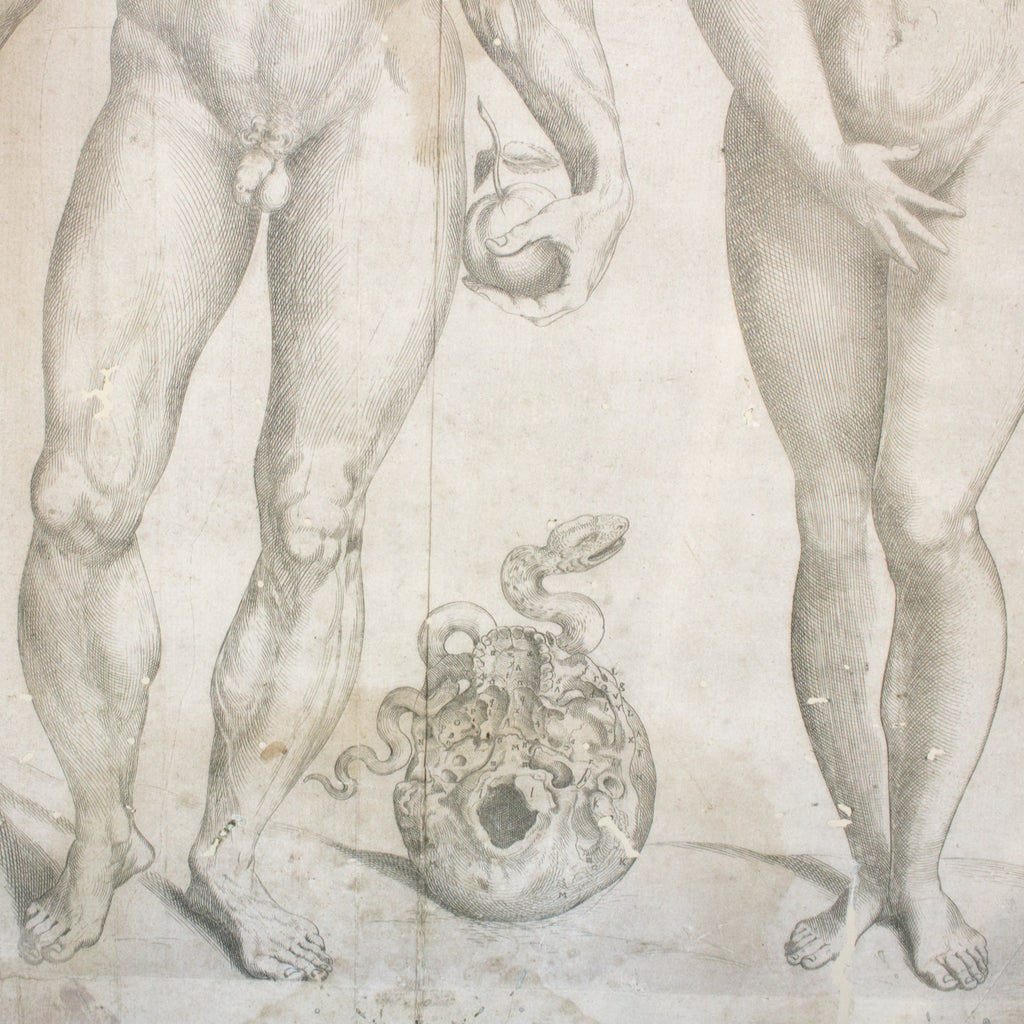 Oversized Adam & Eve Print by Andreas Vesalius on Wood