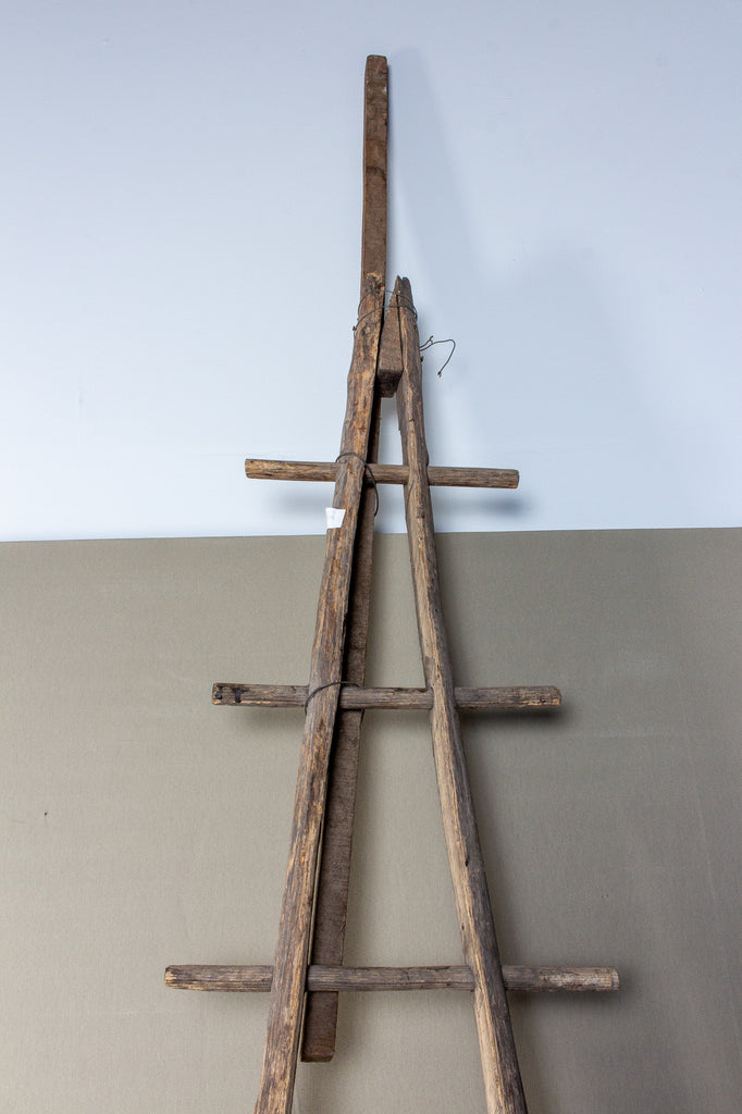 Antique French Orchard Ladder