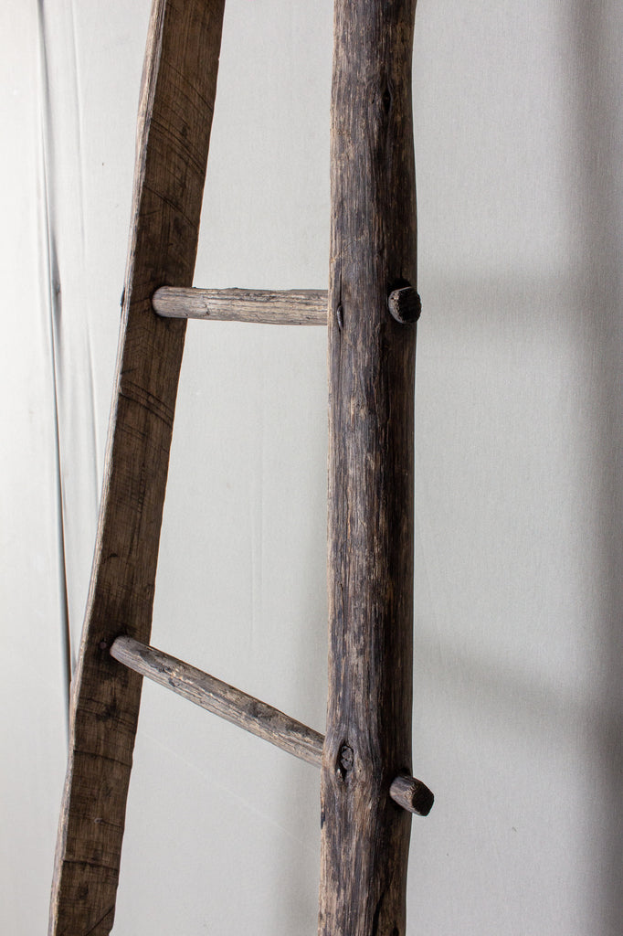Antique French Orchard Ladder