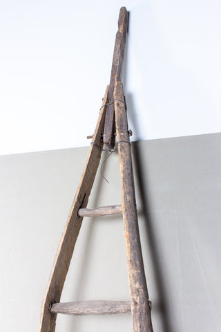 Antique French Orchard Ladder