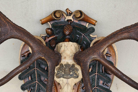 German Red Stag from Eulenburg Hunt of 1892 with Original Fürst-Pless Hunt Horn