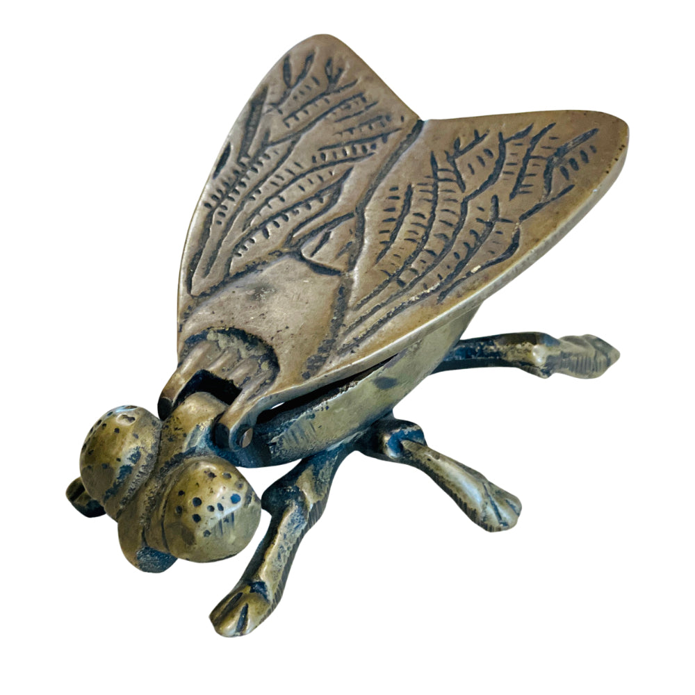 Vintage French Brass Insect Box