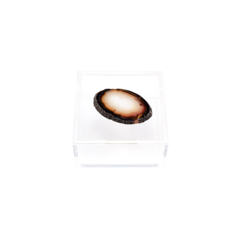 Acrylic Box with Agate Slice - Small