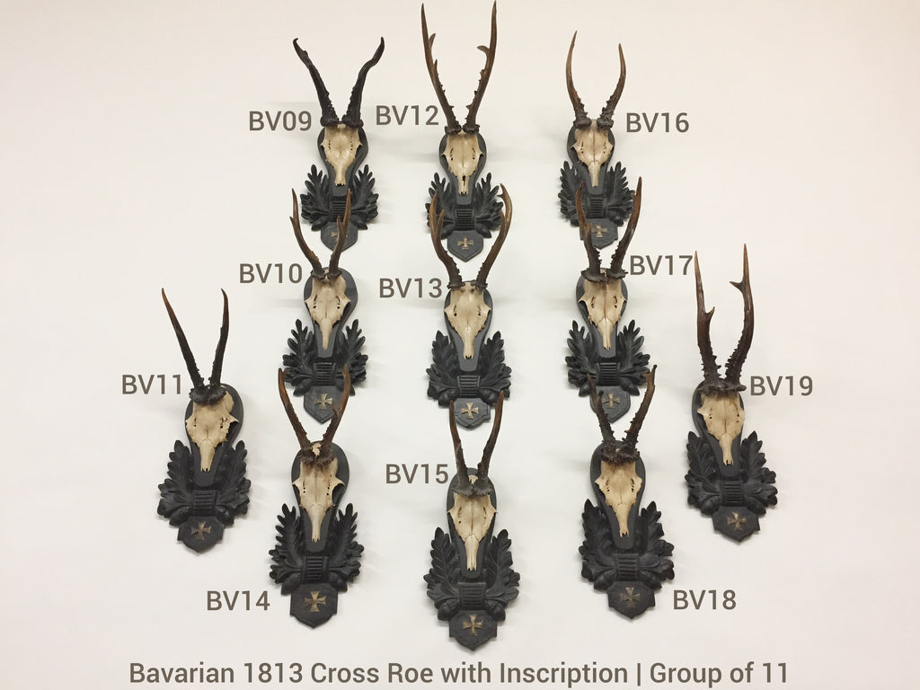 19th c Bavarian Roe Deer Trophies on Black Forest Plaques