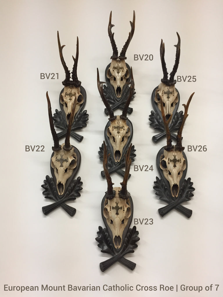 19th Century European Mount Bavarian Roe Deer Trophies on Black Forest Plaques