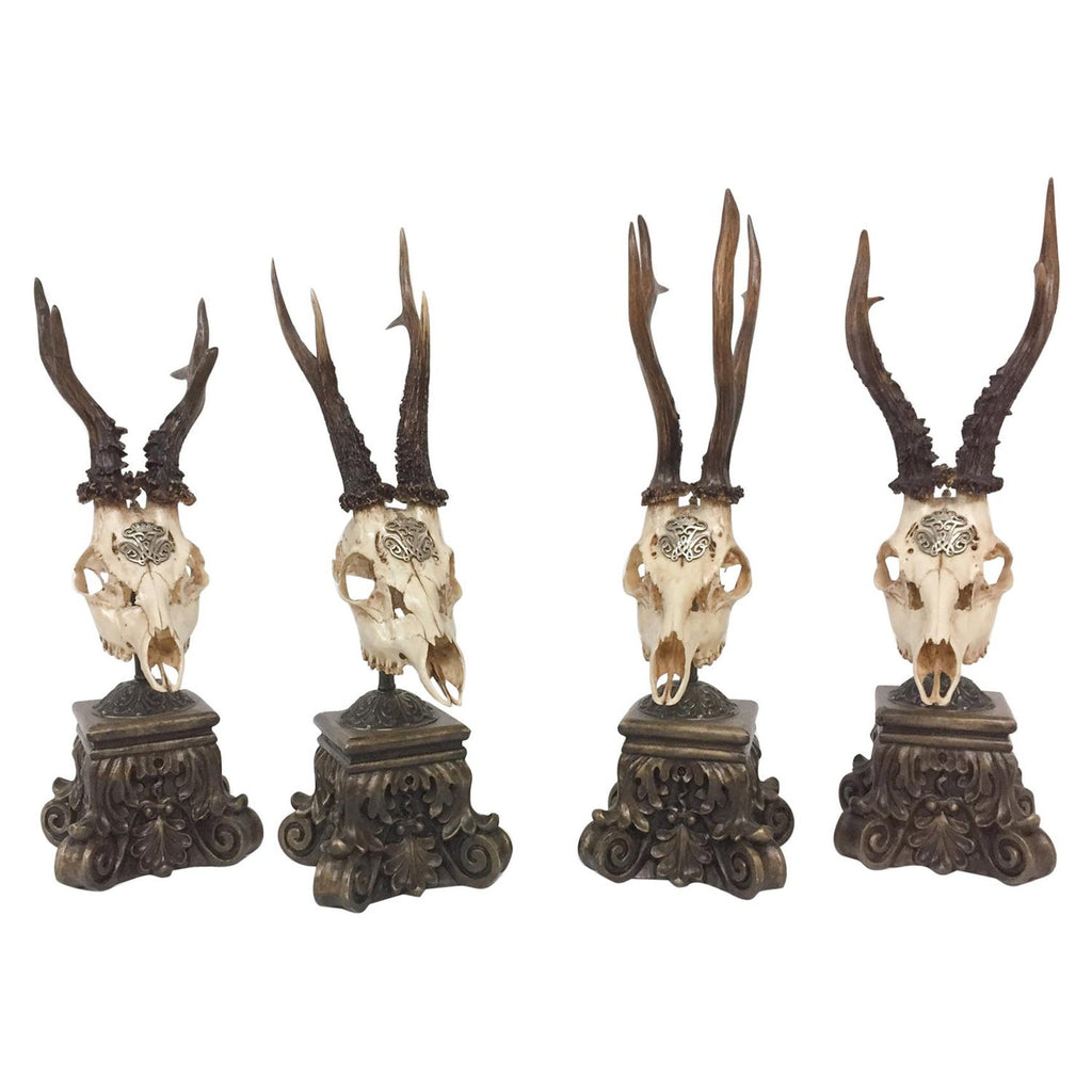 19th Century Roe Deer Trophy from Kaiser Wilhelm I of Germany on Stand