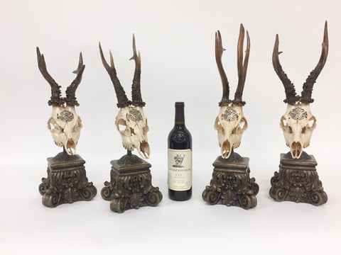19th Century Roe Deer Trophy from Kaiser Wilhelm I of Germany on Stand